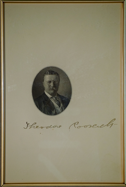 Rare Theodore Roosevelt as NY Police Commissioner and problems with the Republican Platt Machine.