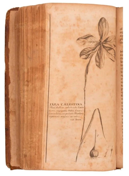 William Bartram Travels 1791 1st Edition 