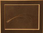 George Washington's Hair