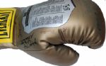 Gigantic Signed Boxing Glove by Greats: Ali, Alexis, Floyd,Galvin, Wollcott