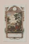 Africa History Engravings 1788