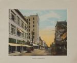 MIAMI THE BEAUTIFUL 1920's Book