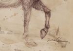Dali Drawing