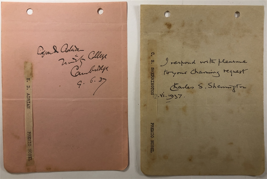 Two signed album pages signed by by the Edgar Douglas Adrian and one by Sir Charles Sherrington. 