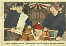 The Three Stooges 