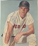 Tony Conigliaro Signed Photo