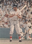 Orlando Cepeda, Carl Yastrzemski, Al Kaline Signed Photos