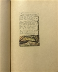 Songs of Experience Reproduction