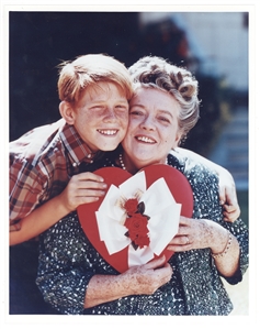 Andy Griffith Show Collection